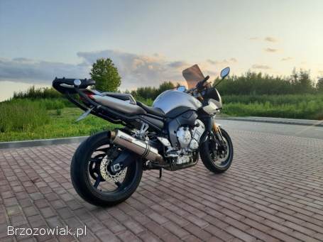 Yamaha FZ Fz1000 2006