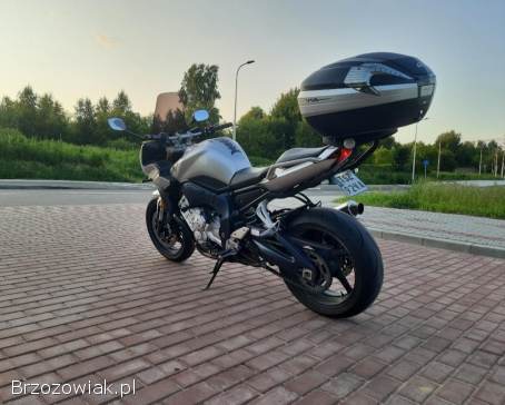 Yamaha FZ Fz1000 2006