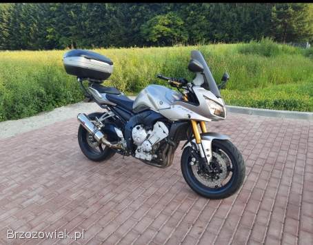 Yamaha FZ Fz1000 2006