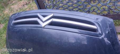 Maska Citroen Xsara Picasso