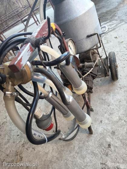 Dojarka do mleka krowiego