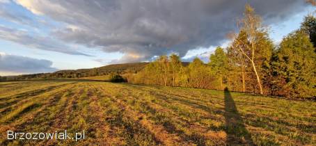 Widokowe działki z WZ Srogów Dolny