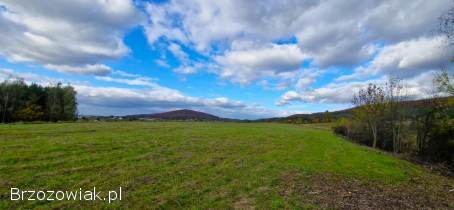 Widokowe działki z WZ Srogów Dolny