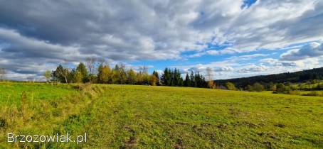 Widokowe działki z WZ Srogów Dolny