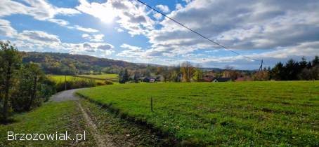 Piękna widokowa działka Srogów Dolny