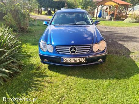 Mercedes-Benz CLK W 209 2002