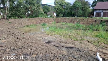 Kopanie stawów oczek wodnych itd