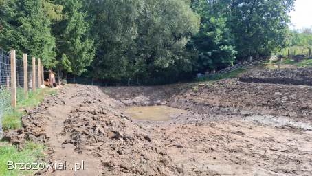Kopanie stawów oczek wodnych itd