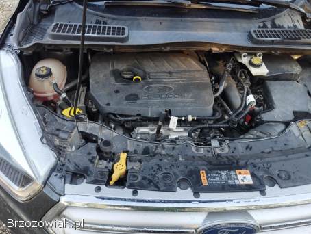 Ford Escape SE 4x4 ecoboots 2017