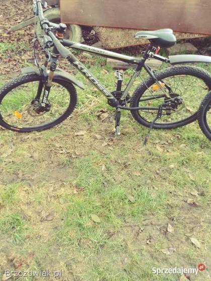 Rowery Hexagon x6 i x3