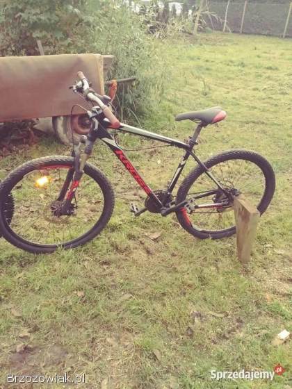 Rowery Hexagon x6 i x3