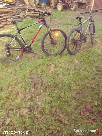 Rowery Hexagon x6 i x3