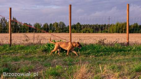 Aza -  zakochana w ludziach,  wesoła,  pełna życia!