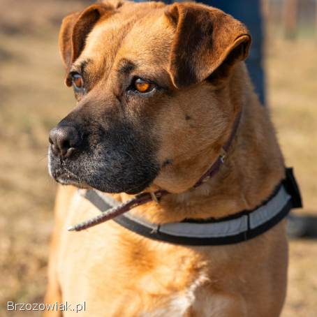 Aza -  zakochana w ludziach,  wesoła,  pełna życia!