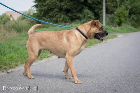 Aza -  zakochana w ludziach,  wesoła,  pełna życia!