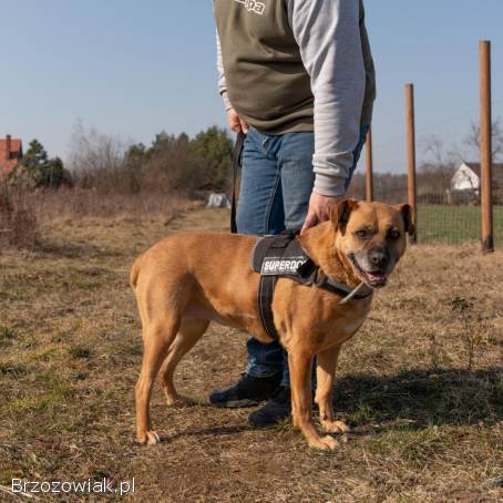 Aza -  zakochana w ludziach,  wesoła,  pełna życia!