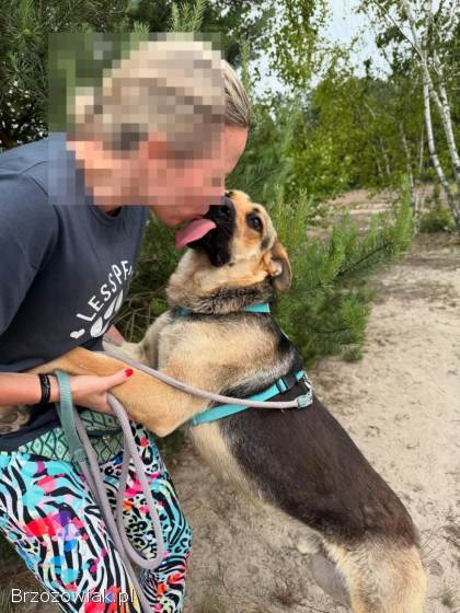 Magnus -  młodziutki,  wesoły,  przyjazny psiak!