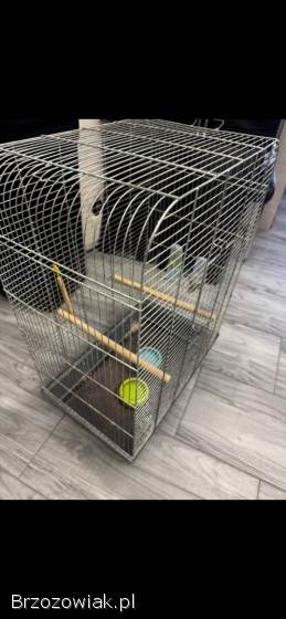 Klatka dla kanarka