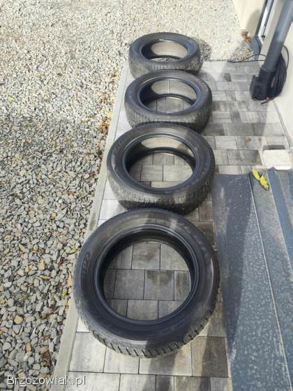 Opony zimowe Dębica Frigo