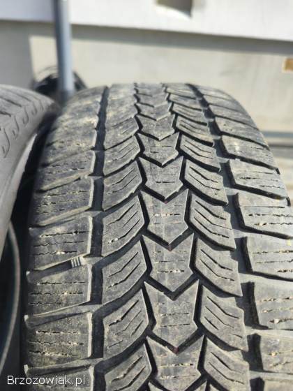 Opony zimowe Dębica Frigo