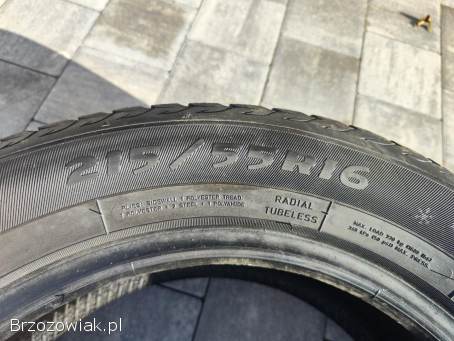 Opony zimowe Dębica Frigo