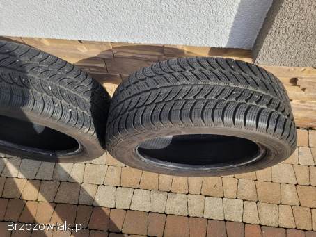 Opony Dębica Frigo 2 205/55 R16 zimowe
