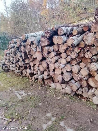 Sprzedam brzoze
