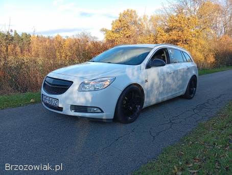 Opel Insignia 2010