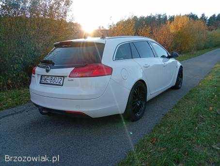 Opel Insignia 2010