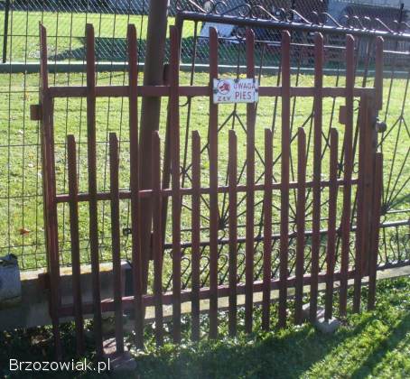 Brama o szerokości 5 m + bramka 150 cm -  Besko