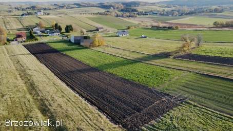 Działka w Jędruszkowcach -  45ar