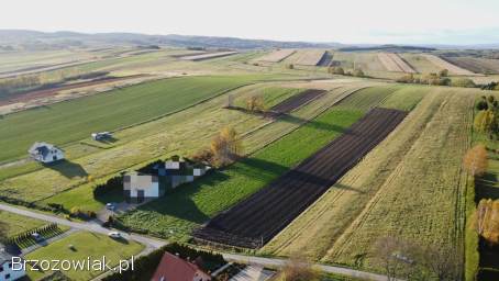 Działka w Jędruszkowcach -  13,  5ar