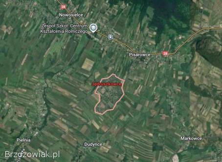 Działka w Jędruszkowcach -  13,  5ar