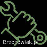 Mechanik pojazdów ciężarowych