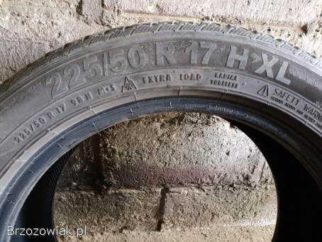 Opony zimowe 225/50/R17