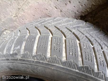 Opony zimowe 225/50/R17
