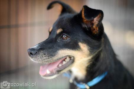 Natka -  mała wojowniczka o wielkim sercu!