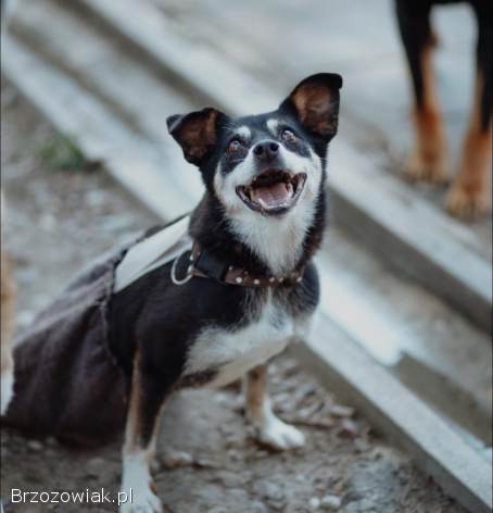 Natka -  mała wojowniczka o wielkim sercu!