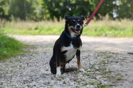 Natka -  mała wojowniczka o wielkim sercu!