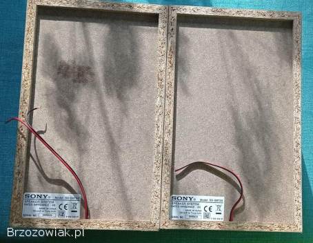 Głośniki Sony SS-SBT20