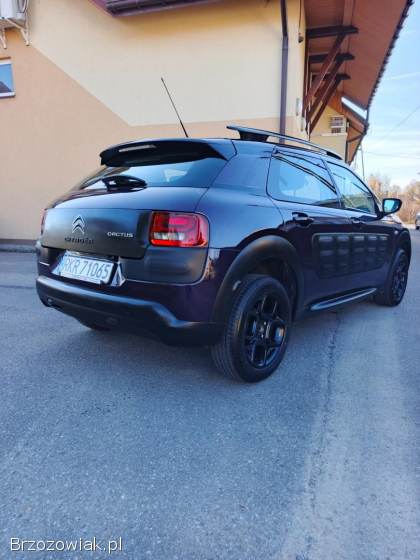 Citroën C4 Cactus 2015