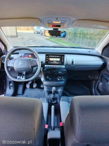 Citroën C4 Cactus 2015