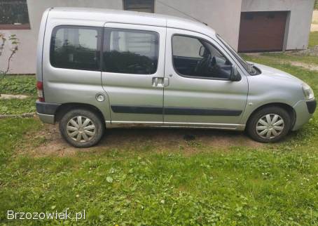 Citroën Berlingo Citroen 2007