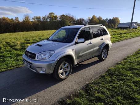 Toyota RAV4 2004
