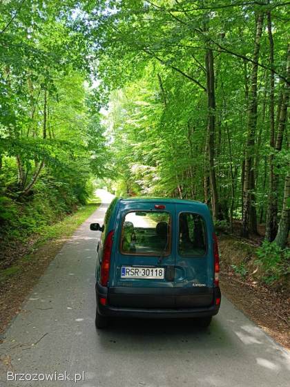 Renault Kangoo 2004