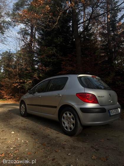 Peugeot 307 II 2006