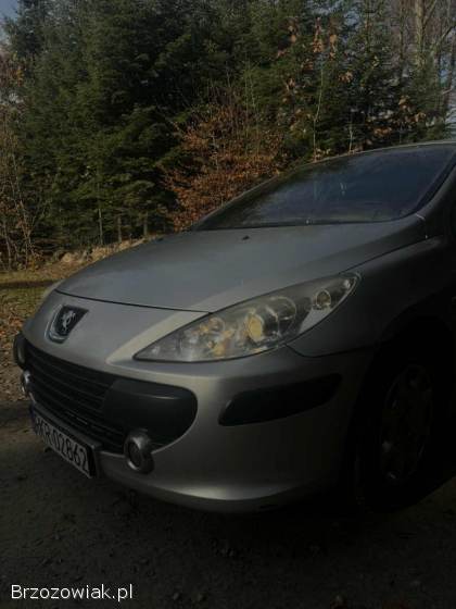 Peugeot 307 2006