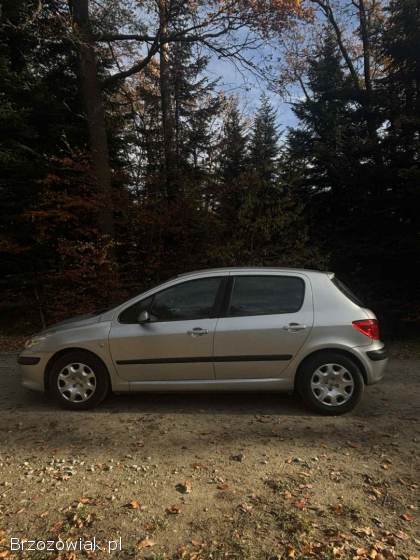 Peugeot 307 2006