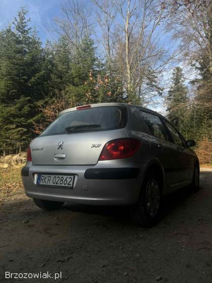 Peugeot 307 2006