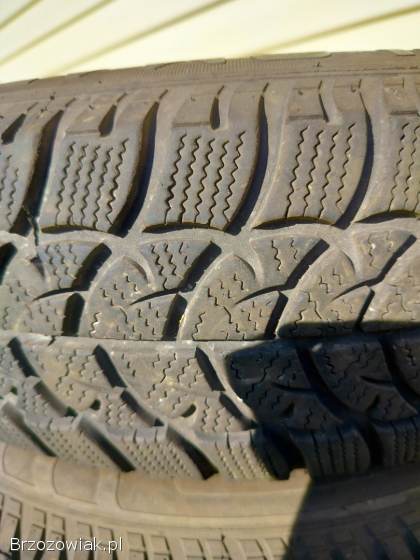 Opony zimowe Diplomat 165 70 14